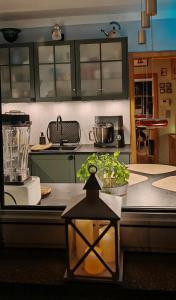 a kitchen with a counter top with a blender at Ferienhaus VILLA ZAUBERBLICK am Rennsteig Frankenwald FREISTEHEND naturnah HUNDEFREUNDLICH eingezäunt in Ludwigsstadt +72 photos
