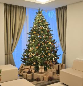 Grand Baltic Dunes Hotel & SPA في بالانغا: شجرة عيد الميلاد مع هدايا تحتها في غرفة معيشة