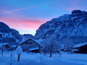 a snow covered village with a mountain in the background at Apartment Dekker in Mellau