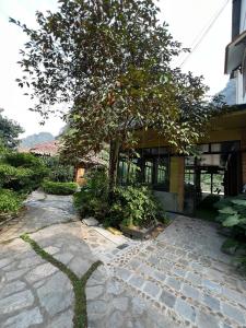 Trang An Maison Retreat في Nguyên Ngoại: شجرة امام مبنى