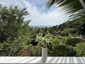 Příroda nedaleko vily