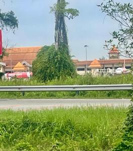 クアラ・トレンガヌにあるChe Nat Che Nor Homestayの道路脇の木