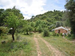 a dirt road leading to a house in a field at Cottage São Luís near Vicentine Coast Park in Troviscais