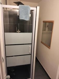 a bathroom with a shower with a mirror and a sink at Simplicité, efficacité, convivialité ! in Dreux