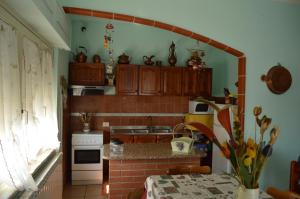 Η κουζίνα ή μικρή κουζίνα στο casa ortensia +8 φωτογραφίες