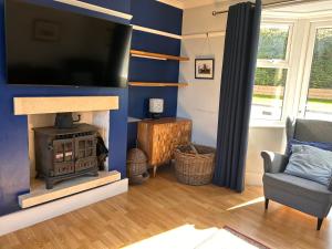 Lynwood House, Bratton في Bratton: غرفة معيشة بها موقد وتلفزيون بشاشة مسطحة