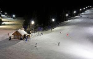 a group of people skiing down a snow covered slope at night at Apartma Ajdovka Rogla in Rakovec +12 photos