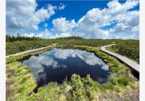 a pond in a field with clouds in the sky at Apartma Ajdovka Rogla in Rakovec