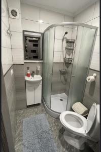 a bathroom with a shower and a toilet and a sink at Family in Mukacheve