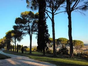 Příroda nedaleko prázdninového domu + 33 fotografií