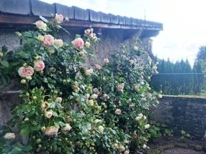 Afbeelding uit fotogalerij van Chambre Saint-Nicolas, Le Prieuré in Aydoilles