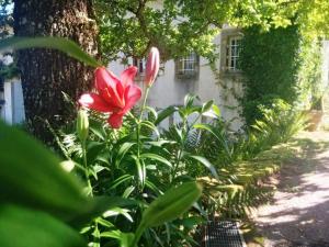 Afbeelding uit fotogalerij van Chambre Saint-Nicolas, Le Prieuré in Aydoilles