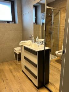 a bathroom with a sink and a shower at Bormio365 Chalet in Valdisotto +30 photos