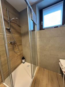 een douche met een glazen deur in een badkamer bij Bormio365 Chalet in Valdisotto