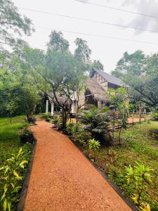 Vườn quanh Sigiriya Coconut Shade Resort