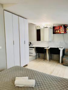 Η κουζίνα ή μικρή κουζίνα στο Apartment Studio on Bucuresti 9/1