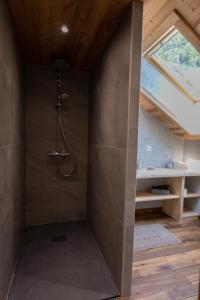 Chambre Perce-Neige, Les Roches Fleuries في Sapois: حمام مع دش في الغرفة