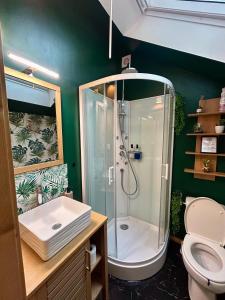 ein Badezimmer mit Dusche, Toilette und Waschbecken in der Unterkunft Haussmann Chic & Soft Élégance - Centre-ville in Saint-Brieuc