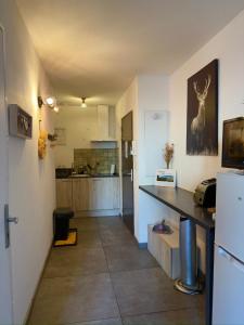 a kitchen with a counter in the middle of a room at T2 centre Ville Proche des pistes in Briançon