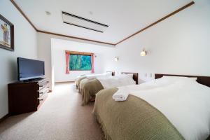 a bedroom with three beds and a flat screen tv at Wadano Forest Hotel & Apartments in Hakuba +70 photos