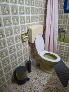 ein Badezimmer mit grünem WC und Dusche in der Unterkunft Eunoé House in Kakí Vígla + 8 Fotos