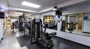 una palestra con diversi tapis roulant e macchine ellittiche di Hotel Honduras Maya a Tegucigalpa