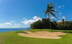 Nite and Day Batam Jodoh Square في Tanjunguma: نخلة على ملعب قولف بجوار المحيط