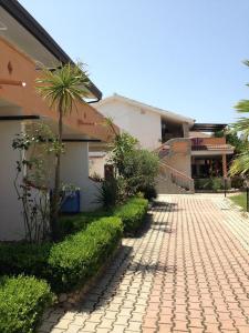 Una pasarela de ladrillo junto a una casa con una palmera en San Domenico Village, en Fitili 17 fotos más