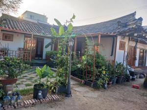 a house with a lot of plants in front of it at 서라벌옛집 in Samgong