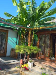 a palm tree in front of a building at 서라벌옛집 in Samgong