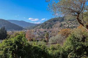 Naturlandskabet i nærheden af feriehuset