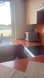 een keuken met een magnetron en een raam bij Makowa 2 Street in Konin +2 foto's