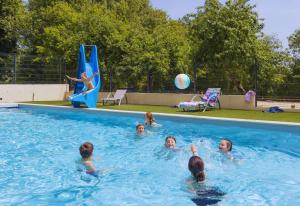 een groep kinderen die spelen in een zwembad bij SAS Le Hameau des Grilles in Saint-Fargeau