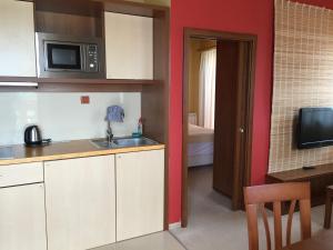 a kitchen with a sink and a microwave at Apartmán Fiona in Veľká Lomnica