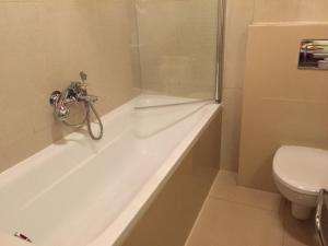 a bathroom with a bath tub and a toilet at Apartmán Fiona in Veľká Lomnica +48 photos