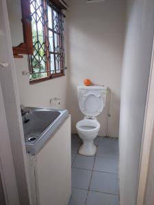 een badkamer met toilet en wastafel bij Prior guest house in Pinetown +10 foto's