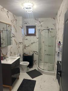 a bathroom with a shower and a toilet and a sink at Central VIP in Craiova