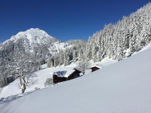 Das Alpbach Juwel v zimě