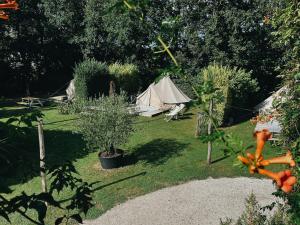 Boutique camping Whanau, verwarmde tenten في Rutten: حديقة بها خيمة في الخلفية وبعض الأشجار +36 صورة