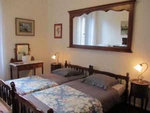 2 camas en un dormitorio con espejo en la pared en Aude Cité-City, en Carcassonne