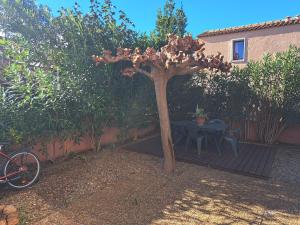 un albero nel cortile con un tavolo dentro di Joli t2 valras plage a Valras-Plage 1 altra foto