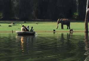 a group of people in a boat on the water with an elephant at Serene Kabini Wild lodge in Kabini River