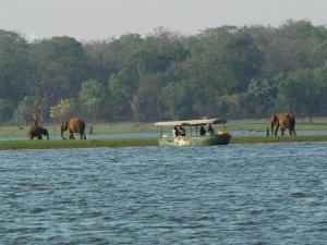 a boat on the water with elephants in the background at Serene Kabini Wild lodge in Kabini River