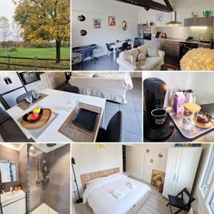 Appartement Business Lyon nord Gare & A6 في Saint-Germain-au-Mont-dʼOr: مجموعة من الصور لغرفة معيشة ومطبخ