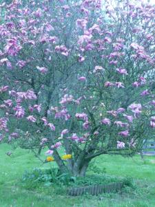 Afbeelding uit fotogalerij van Maison d'Hôtes LA JEANCOISE in Darney