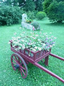a garden cart filled with flowers in a yard at Maison d'Hôtes LA JEANCOISE in Nonville