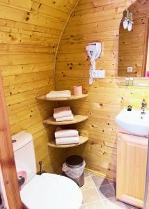 a wooden bathroom with a toilet and a sink at SAS Le Hameau des Grilles in Saint-Fargeau +80 photos