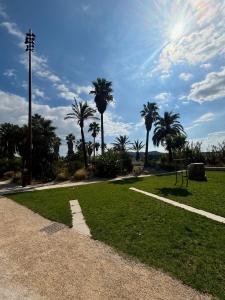 a park with palm trees and a pathway at Appartement 3 chambres - 8 couchages in Six-Fours-les-Plages