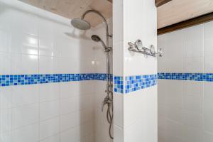 a shower in a bathroom with blue and white tiles at Chambre Bleuet in Piolenc