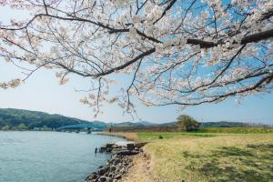 Gallery image of アイランドグランピングアースステイ青島 in Tottori +16 photos